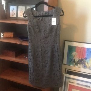 Dark grey lace Adrianna Papell Dress
